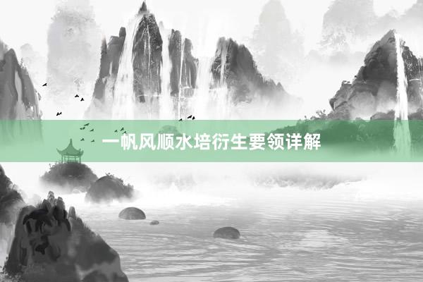 一帆风顺水培衍生要领详解