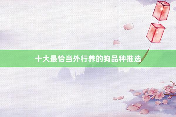 十大最恰当外行养的狗品种推选