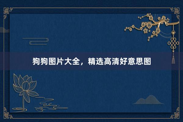 狗狗图片大全，精选高清好意思图