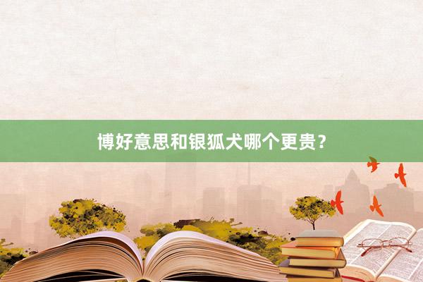 博好意思和银狐犬哪个更贵？